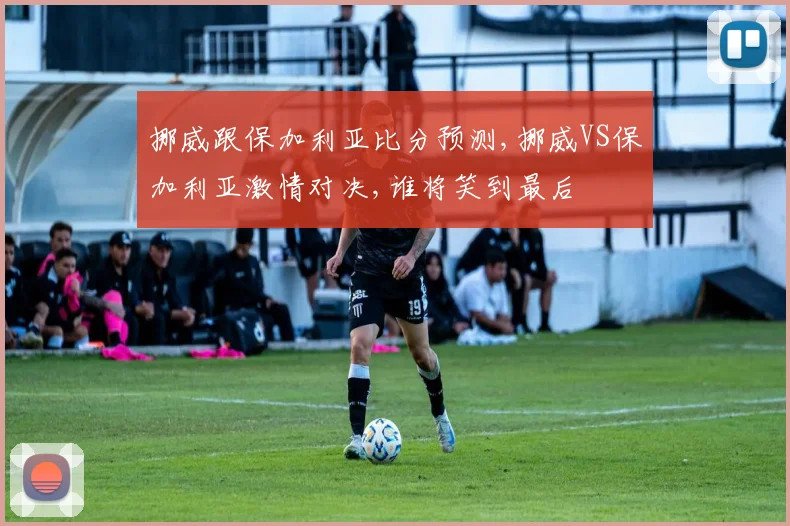 挪威跟保加利亚比分预测,挪威VS保加利亚激情对决,谁将笑到最后
