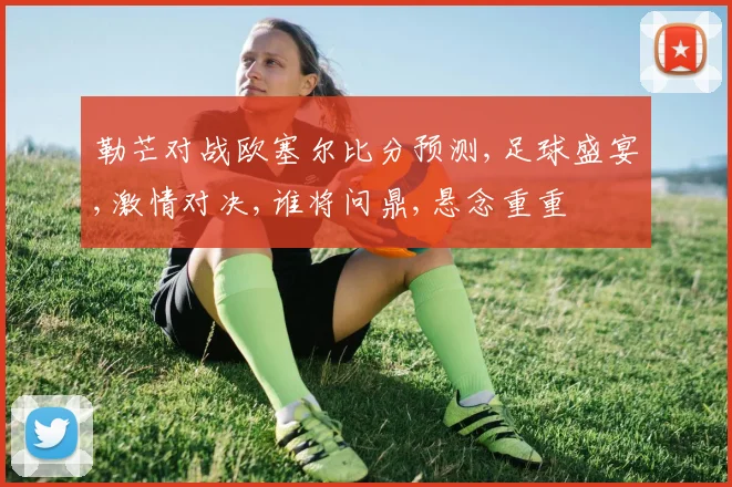 勒芒对战欧塞尔比分预测,足球盛宴,激情对决,谁将问鼎,悬念重重