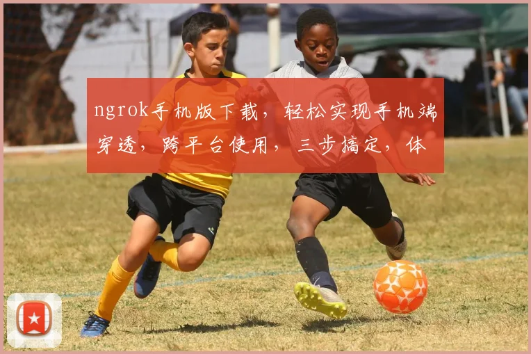 ngrok手机版下载,轻松实现手机端穿透,跨平台使用,三步搞定,体验无限