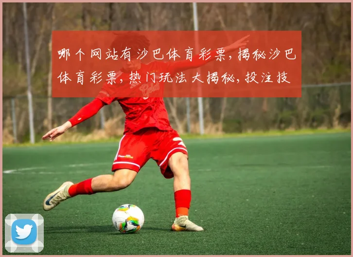 哪个网站有沙巴体育彩票,揭秘沙巴体育彩票,热门玩法大揭秘,投注技巧一网打尽